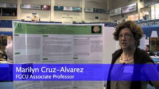 Datos Research Day 2013 Noticias