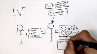 IVF & Clomifene | Getting Pregnant | GCSE Biology (9-1) | KayScience