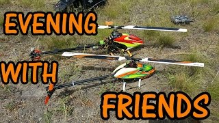 Protos 500 3Digi Pals!