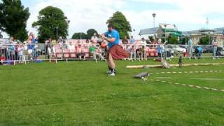 MVI_0302.AVI
