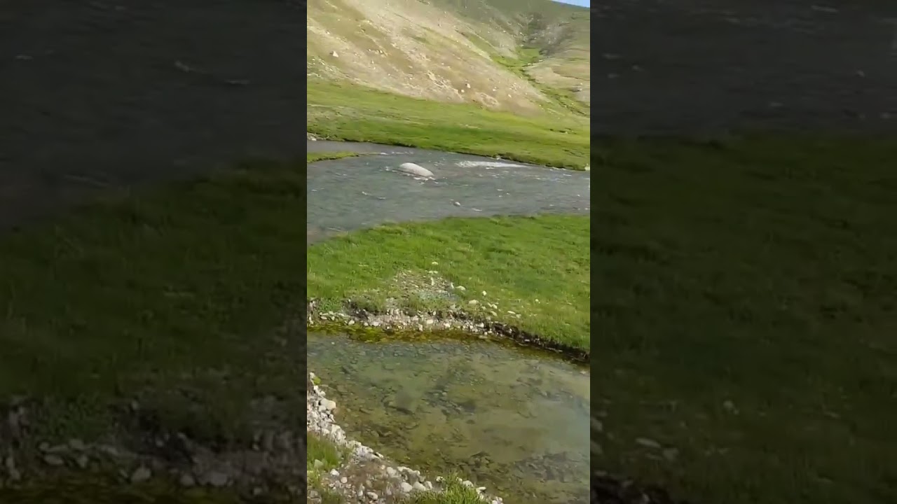 Kala Pani Deosai | Sheosar Lake |Deosai Plains 