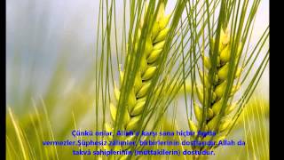 CASİYE-(CÂSİYE)-SURESİ-Ebubekir Şatiri (Abu Bakr Al Shatri)