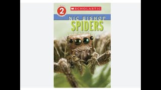 Spiders by Nic Biship for Scholastic INC is a nonfiction read aloud for kids