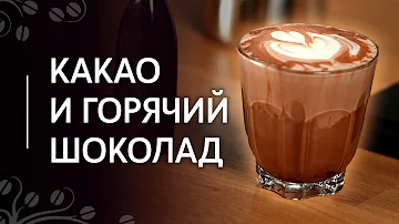 Горячий шоколад и какао: отличия, пропорции, рецепт приготовления. Какао-порошок и какао-масса