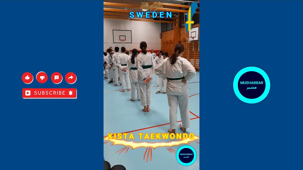 Taekwondo Practice in Sweden | Kista Taekwondo Classes | Taekwondo Basics for Beginners 