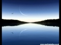 Ludovico Einaudi - "Fly"