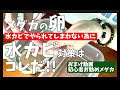 メダカの卵、採卵時のトラブル、水カビ対策～針子の飼育はこうすれば大丈夫【Japanese Medaka】