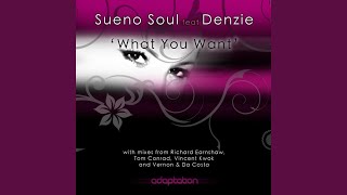 What You Want (Original Mix) (feat. Denzie)