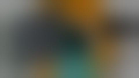 BDFD Lock & Unlock Commands