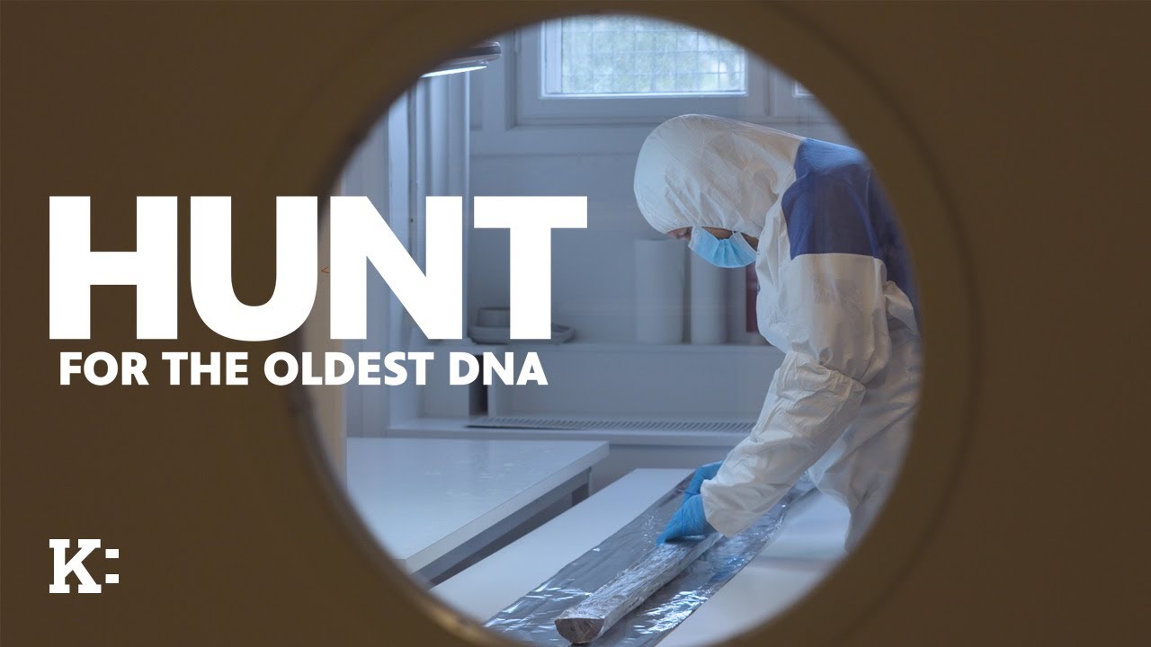 Охота за древнейшей ДНК — Трейлер | Knowledge Network