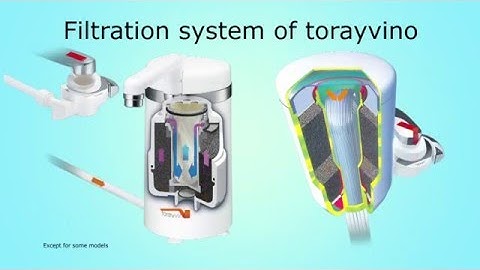 Torayvino SW5-EG/MK204MX/MK303-EG/RS51