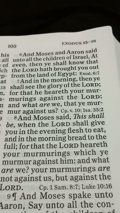 Bible Reading Exodus Chapter 16 Verse 5 7 YouTube bible-reading-exodus-chapter-16-verse-5-7-youtube