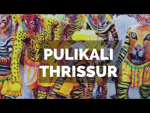 Pulikali - the tiger dance | Kerala Festivals