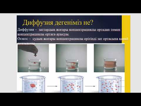 Бейне: Пассивті тасымалдаудың нақты өмірлік мысалы қандай?