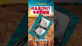 什么是CPU（中央处理器）？（CPU，GPU，DPU，DSP，MCU，SOC，NPU，系统讲解之CPU）