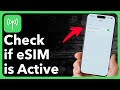 How To Check If eSIM Is Activated In iPhone