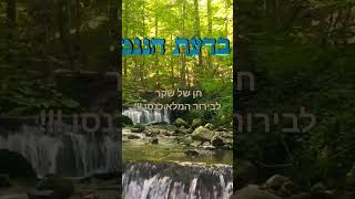 25 בנובמבר 2023