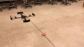 IMG 8650
