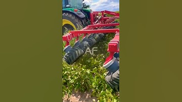 Discover the Game-Changing Weed Puller for Creative Agriculture