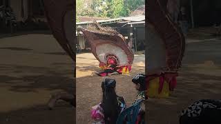 Super Strong And  Of Energy traditional dadakmerak like