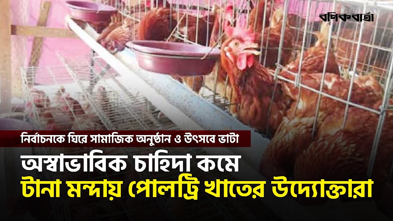 অস্বাভাবিক চাহিদা কমে টানা মন্দায় পোলট্রি খাতের উদ্যোক্তারা