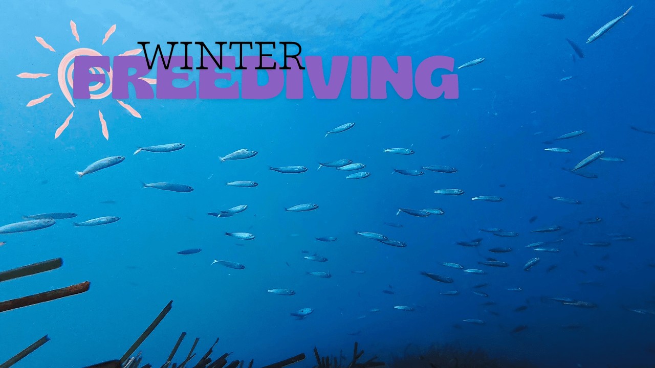 FREEDIVING ALICANTE #4