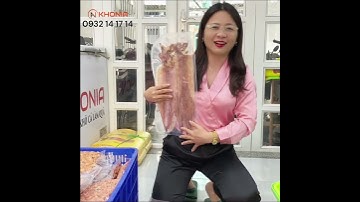 Khô mực câu size 7_10 to như thế nào - KHONIA Food