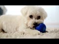 Beginning of video