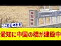 【衝撃】愛知県に謎の中国の橋が建設中...www