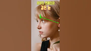 동양인 안와상융기