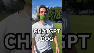 POV your dog is ChatGPT