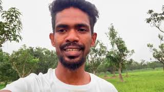 এখন রজশহর নরপদ আম পচছন সলভ মলয Nirapod Fruits