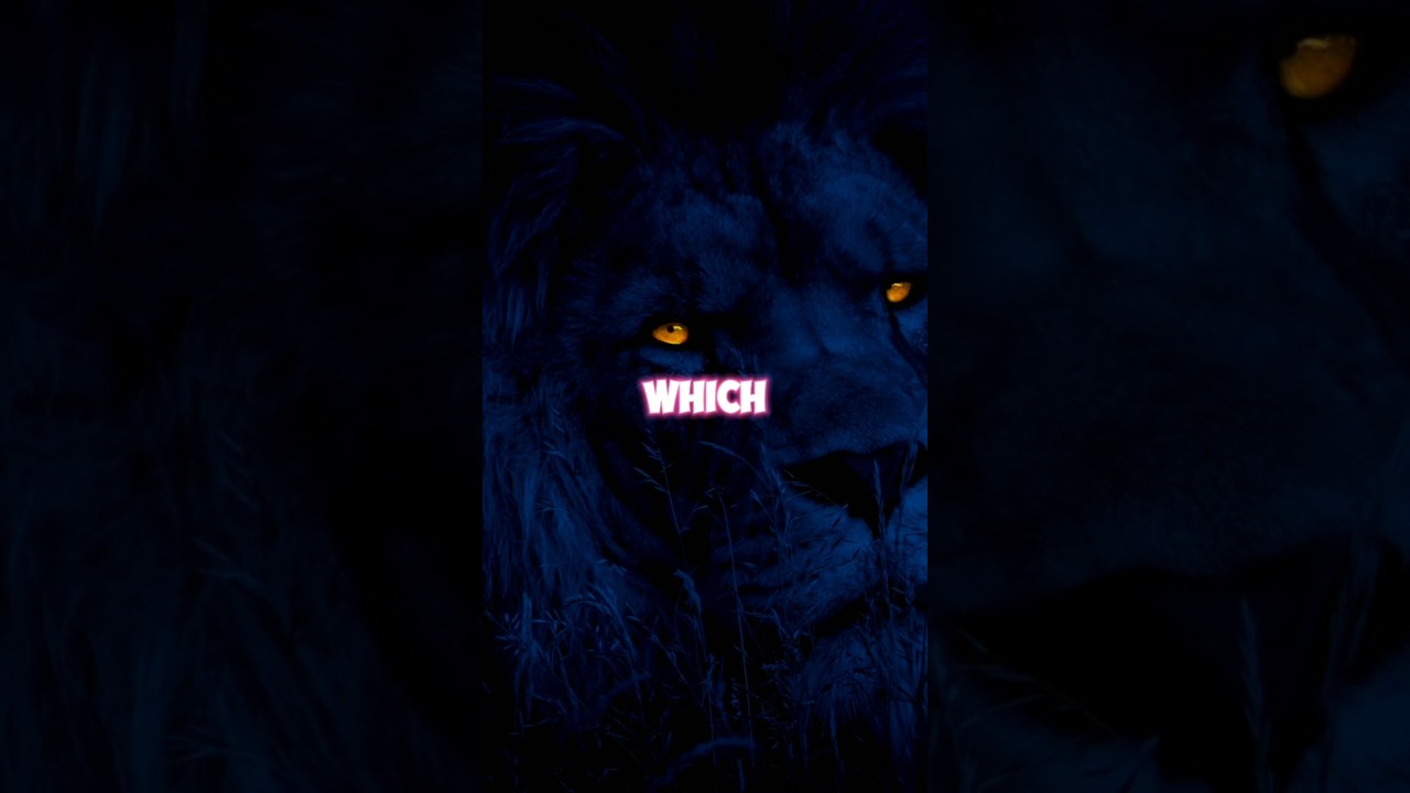 The Tragic Story of the Transvaal Lions