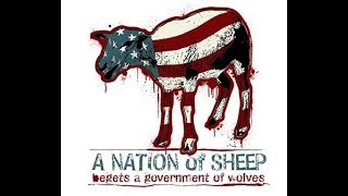 Mass shootings in America.  Terrorism ?