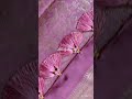 Bridal saree tassels | kuchhu | grand#tassels #saree #shortsfeed #shortsviral