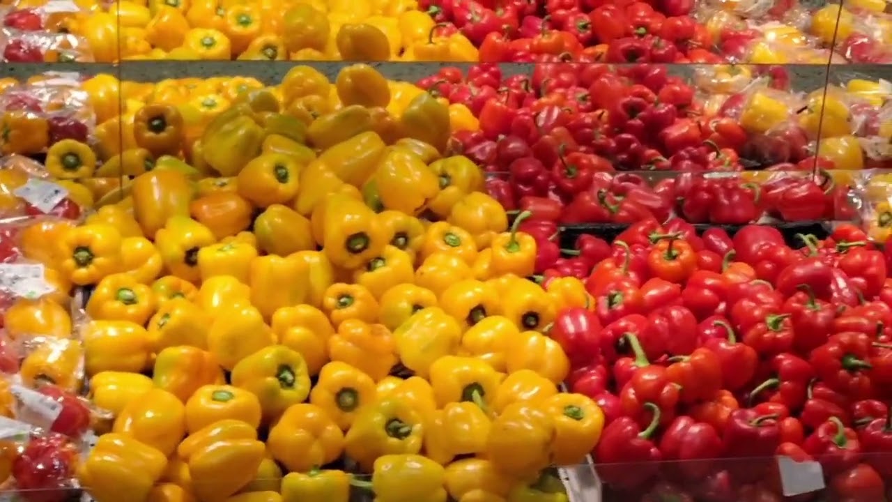 stad uppsala . 10 FEBRUARI 2026