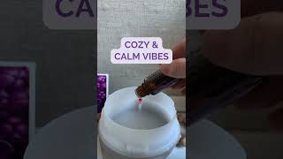 Refresh Your Home Naturally