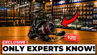 5 Cheap Fishing Reel Brands EVERYONE Ignores (But They’re Absolute GOLDMINES)