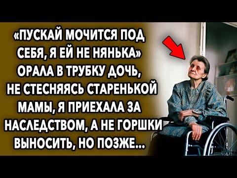 Приехала за наследством... / Интересная История Про Дочь / Мир Вокруг
