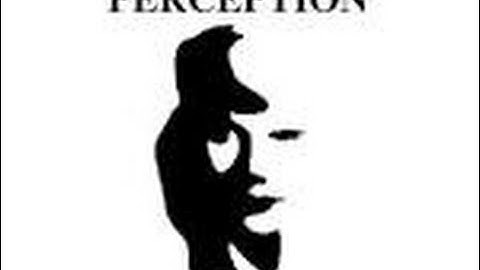 Perception is Reality
