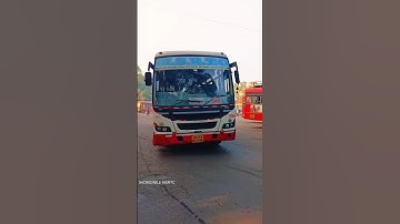 नागपूर ➡️ दिग्रस बस #incrediblemsrtc Nagpur to digras msrtc bus #msrtcbus #msrtc #tatamotors