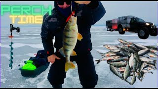 Окунь обожает эту БЛЕСНУ! /Рыбалка на Чудском озере / Perch love this LURE! / Fishing Chudskoe lake