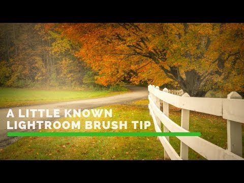 Quick Lightroom Brush Tip