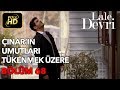 Lale Devri 68. Bölüm / Full HD (Tek Parça) - Çınar'ın Umutları Tükenmek Üzere