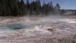 Гейзеры парка Йеллоустон (Yellowstone National Park) (3)