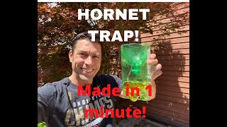 Hornet Trap made in one minute! screenshot 2