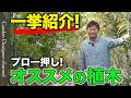 【大公開!】あなたのお庭に合う植木!常緑樹から落葉樹まで徹底解説!【The Ultimate Guide to Recommended Garden Trees】