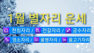 1월 별자리운세 (천칭자리/전갈자리/궁수자리/염소자리/물고기자리)