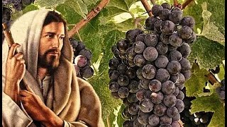 I AM THE VINE  Jesus Explained The TRUTH About Himself