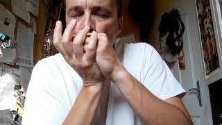 Deak Harp style practice harmonica G